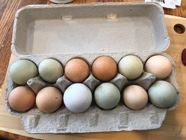 1 dz Eggs